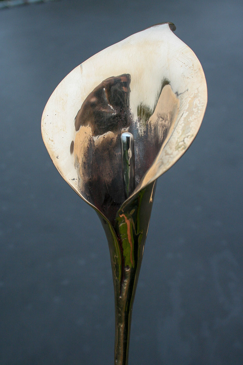 Valentine's Day Present a Bronze Lily